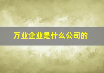 万业企业是什么公司的