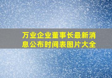 万业企业董事长最新消息公布时间表图片大全