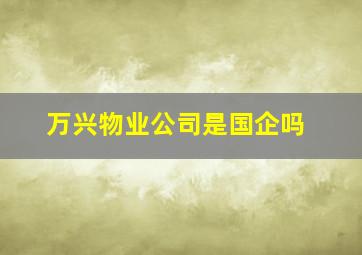 万兴物业公司是国企吗