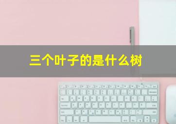 三个叶子的是什么树