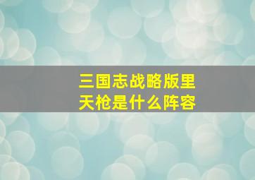 三国志战略版里天枪是什么阵容