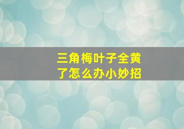 三角梅叶子全黄了怎么办小妙招