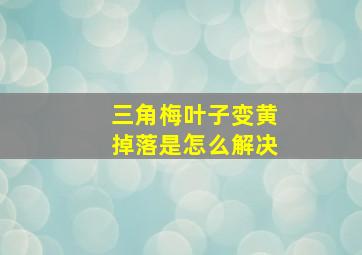 三角梅叶子变黄掉落是怎么解决