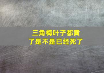 三角梅叶子都黄了是不是已经死了