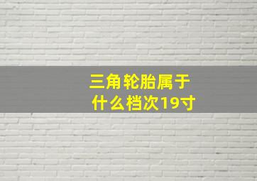 三角轮胎属于什么档次19寸