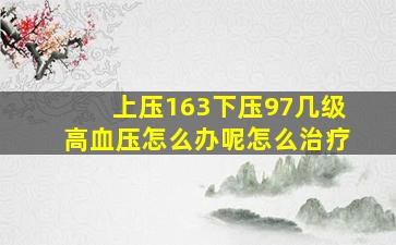 上压163下压97几级高血压怎么办呢怎么治疗