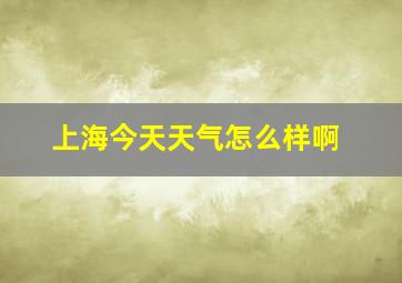 上海今天天气怎么样啊