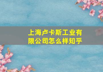 上海卢卡斯工业有限公司怎么样知乎