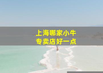 上海哪家小牛专卖店好一点