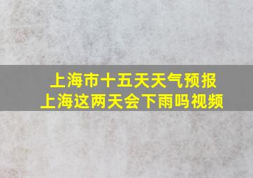 上海市十五天天气预报上海这两天会下雨吗视频