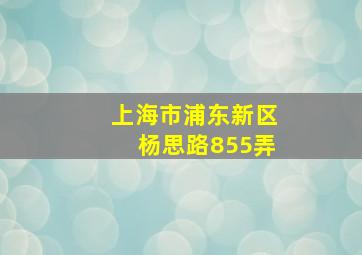 上海市浦东新区杨思路855弄