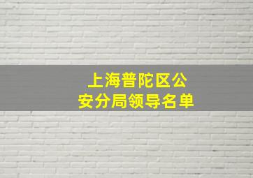 上海普陀区公安分局领导名单