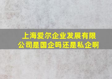 上海爱尔企业发展有限公司是国企吗还是私企啊