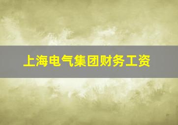 上海电气集团财务工资