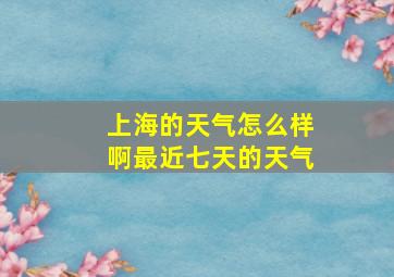 上海的天气怎么样啊最近七天的天气