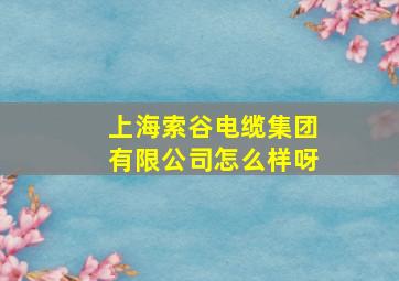 上海索谷电缆集团有限公司怎么样呀