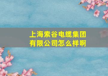 上海索谷电缆集团有限公司怎么样啊