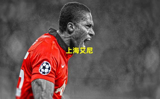 上海艾尼