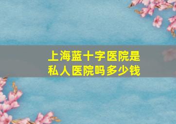 上海蓝十字医院是私人医院吗多少钱