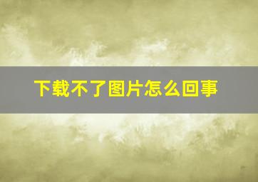 下载不了图片怎么回事