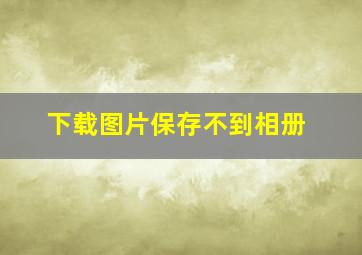 下载图片保存不到相册