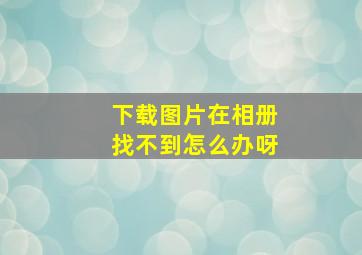 下载图片在相册找不到怎么办呀