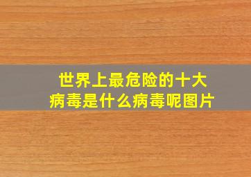 世界上最危险的十大病毒是什么病毒呢图片