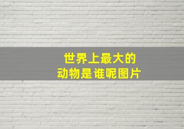 世界上最大的动物是谁呢图片