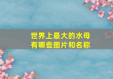 世界上最大的水母有哪些图片和名称