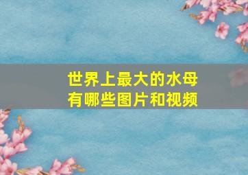 世界上最大的水母有哪些图片和视频