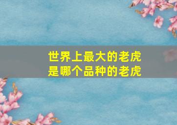 世界上最大的老虎是哪个品种的老虎