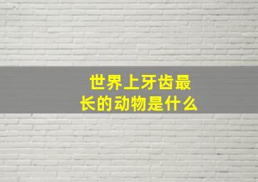 世界上牙齿最长的动物是什么