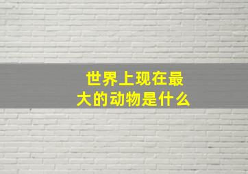 世界上现在最大的动物是什么