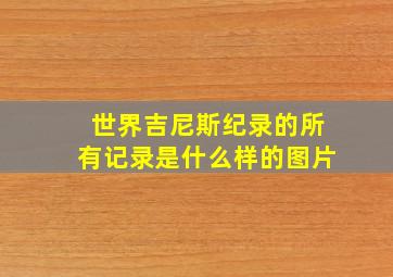 世界吉尼斯纪录的所有记录是什么样的图片