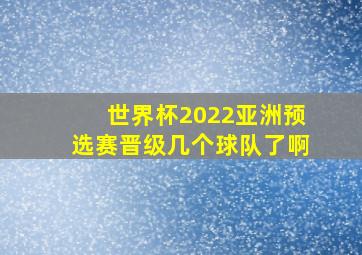 世界杯2022亚洲预选赛晋级几个球队了啊