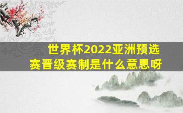 世界杯2022亚洲预选赛晋级赛制是什么意思呀