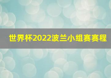 世界杯2022波兰小组赛赛程