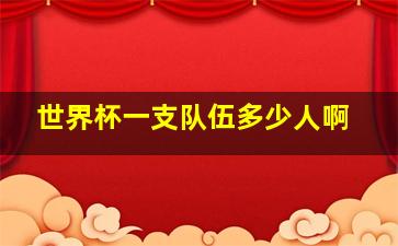 世界杯一支队伍多少人啊