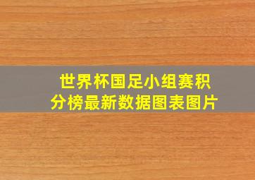 世界杯国足小组赛积分榜最新数据图表图片