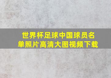 世界杯足球中国球员名单照片高清大图视频下载