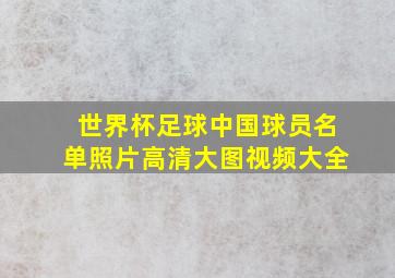 世界杯足球中国球员名单照片高清大图视频大全