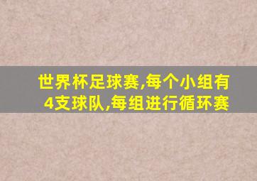 世界杯足球赛,每个小组有4支球队,每组进行循环赛