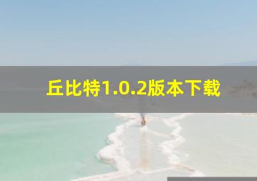 丘比特1.0.2版本下载