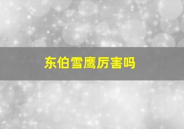 东伯雪鹰厉害吗