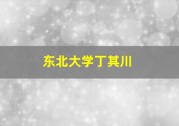 东北大学丁其川