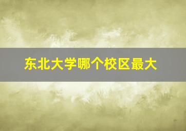 东北大学哪个校区最大