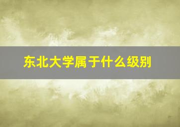 东北大学属于什么级别