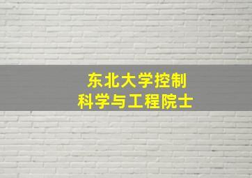 东北大学控制科学与工程院士