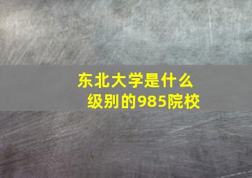 东北大学是什么级别的985院校