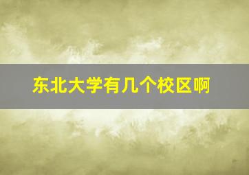 东北大学有几个校区啊